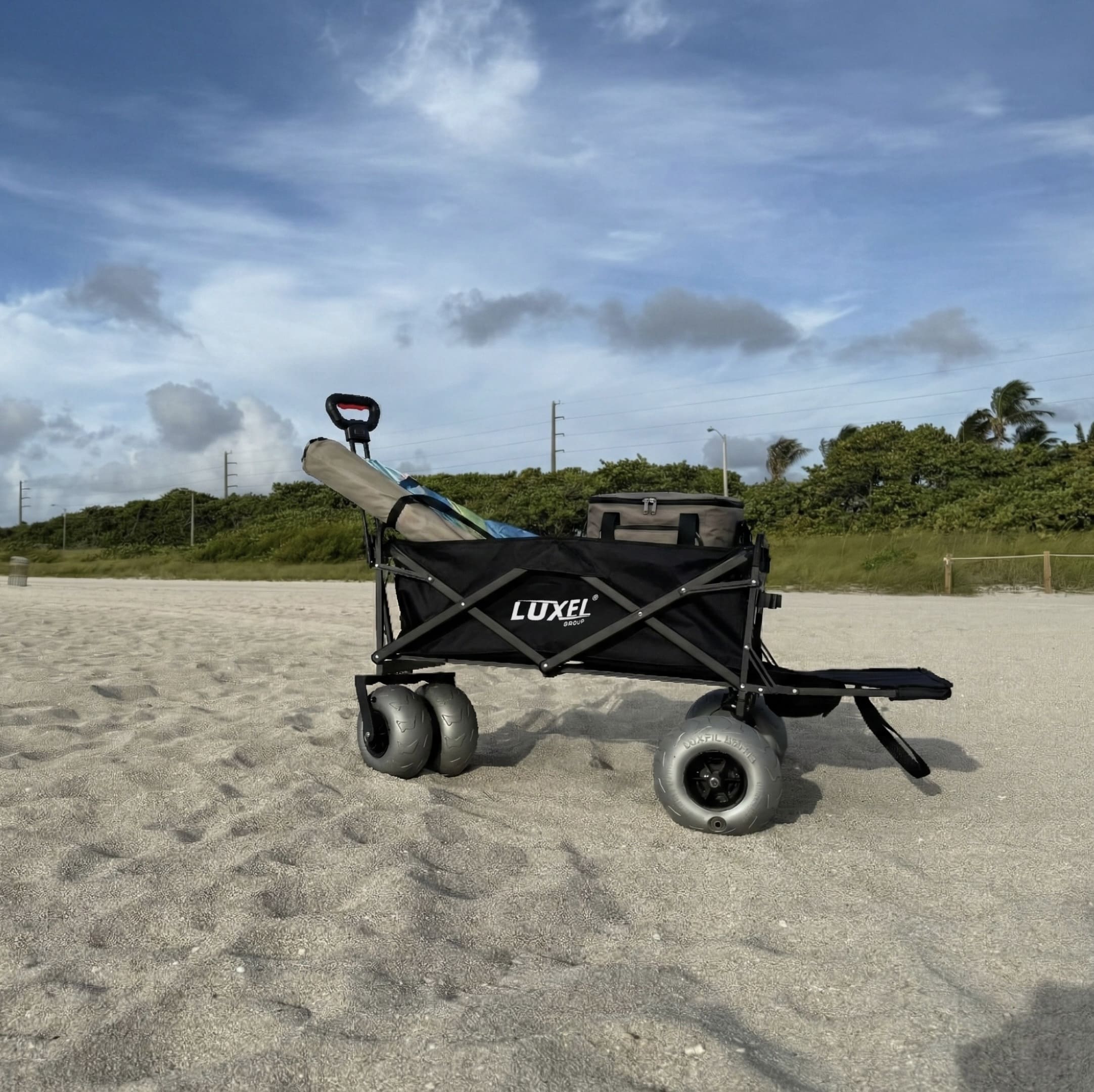 Review — Electric Beach Cart