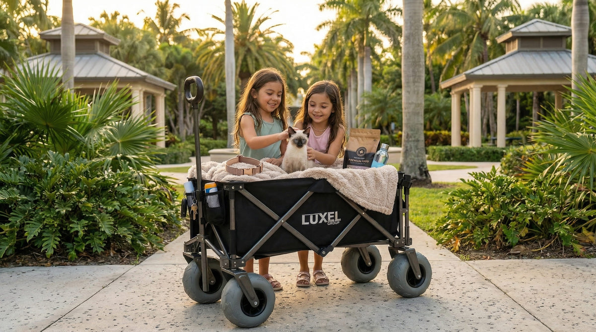LUXEL scene