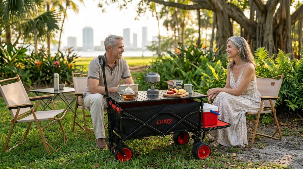 LUXEL scene